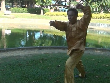 Xingyiquan, Hsing Yi Kungfu