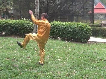 Xingyiquan 12-Animal Forms