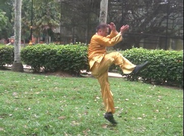 Xingyiquan 12-Animal Forms