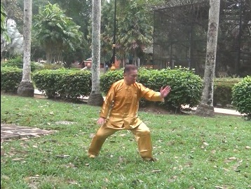 Xingyiquan 12-Animal Forms