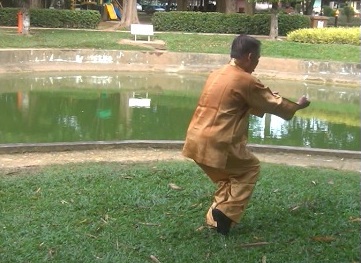 Xingyiquan 12 Animal-Form Continuous Fist 