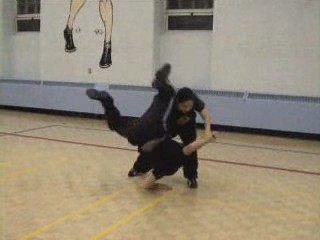 Northern and Southern Shaolin Kungfu Sparring