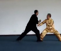 Taijiquan Grips