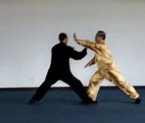 Wahnam Taijiquan