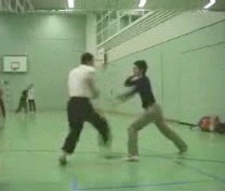 kungfu sparring