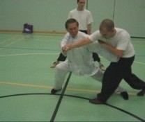 combat application of Xiao Hung Quan