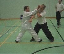 combat application of Xiao Hung Quan