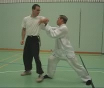 combat application of Xiao Hung Quan