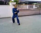 Wahnam Taijiquan