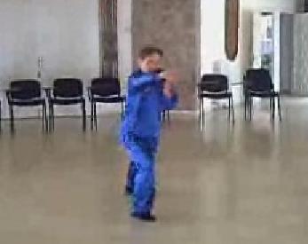 Wahnam Taijiquan