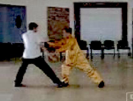 Wahnam Taijiquan