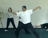 Taijiquan Fa-jing or Explode Force