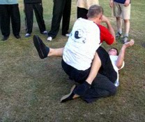 wrestling — Naughty Monkey Rolls on Ground